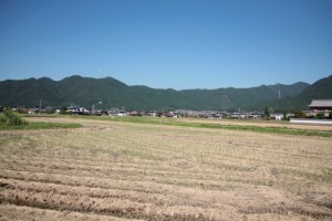 色の見える風景