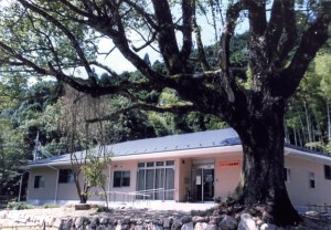 川代ラインパーク沿いのお店